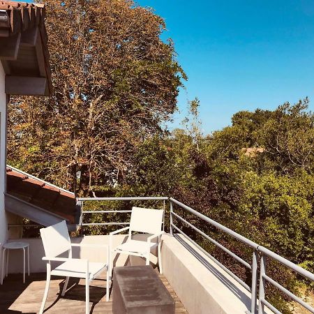 Hotel La Villa Saint-Pierre-dʼIrube 外观 照片