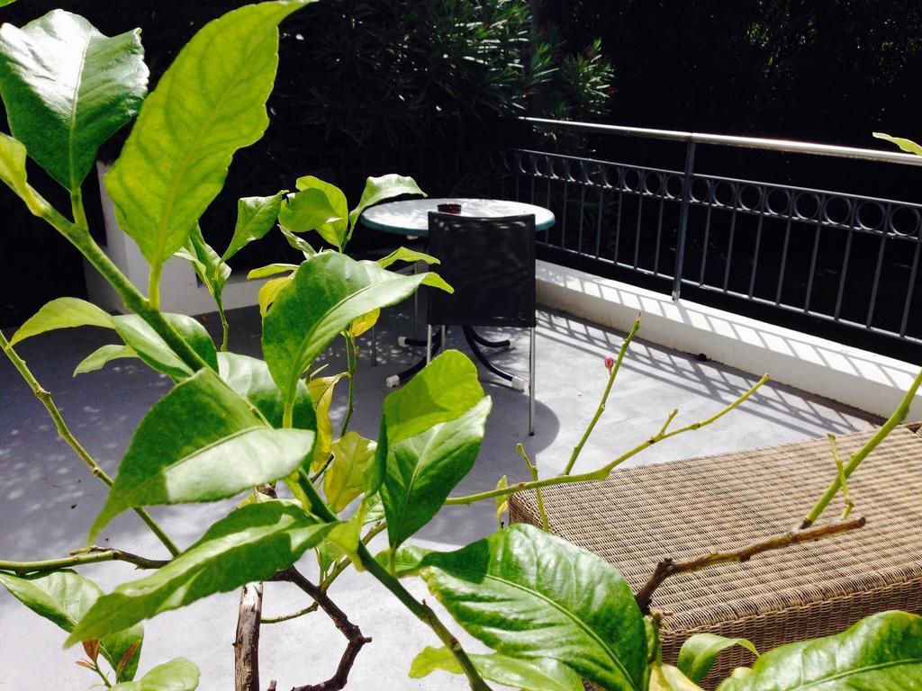 Hotel La Villa Saint-Pierre-dʼIrube 外观 照片